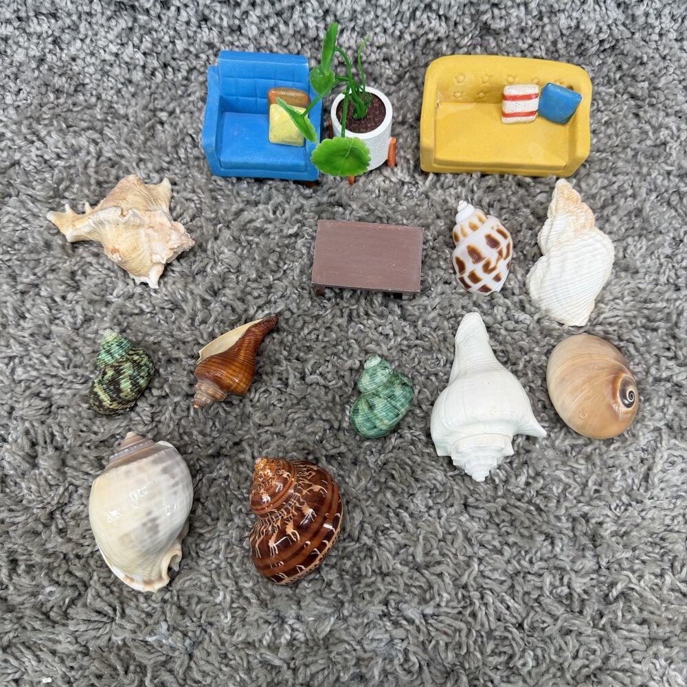 Miniature Dollhouse Furniture & Real Seashells Lot Sofa Chair Table Plant Decor